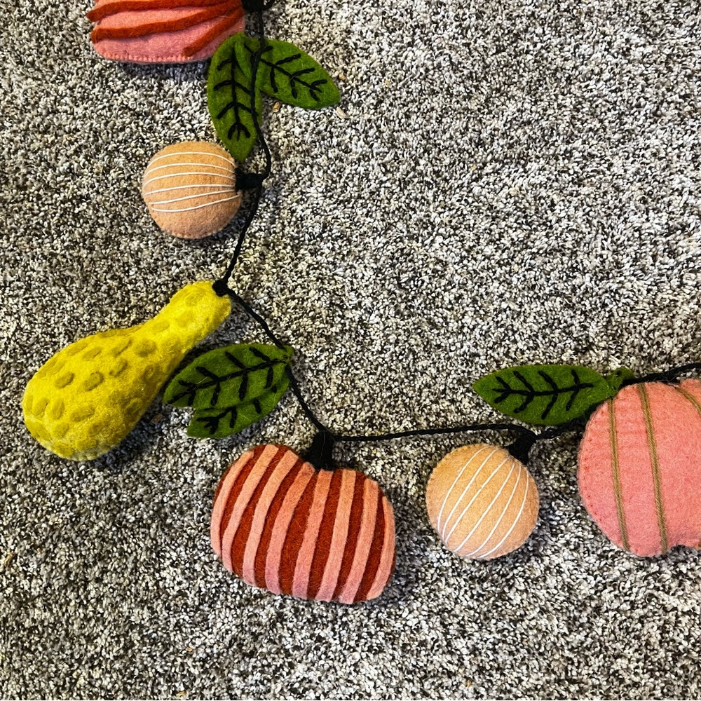 Company store felt fall pumpkin garland - Picture 2 of 4